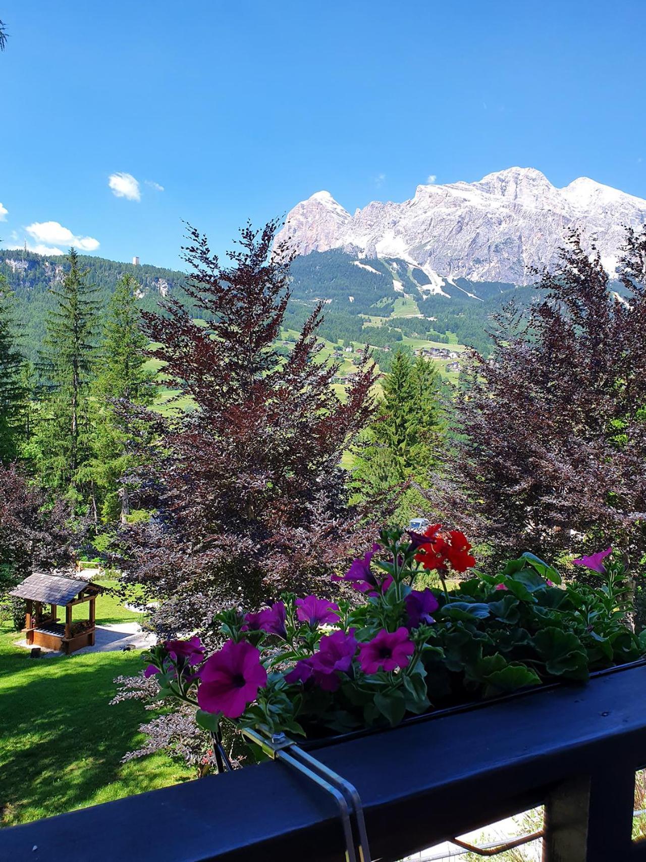 B&B Cristallo Кортіна-д'Ампеццо Екстер'єр фото